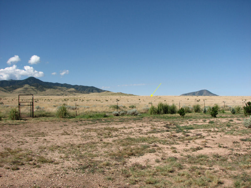 Yellow arrow pointing at Randal and Eva near the fence line.